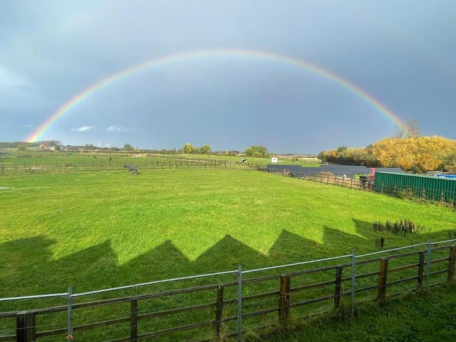 Falabella Suite With Amazing Views Of Stud Farm. Driffield Экстерьер фото
